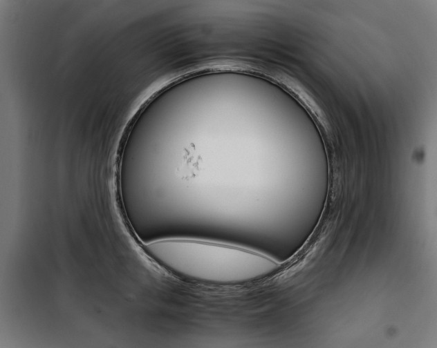 X0000100880853200806201145