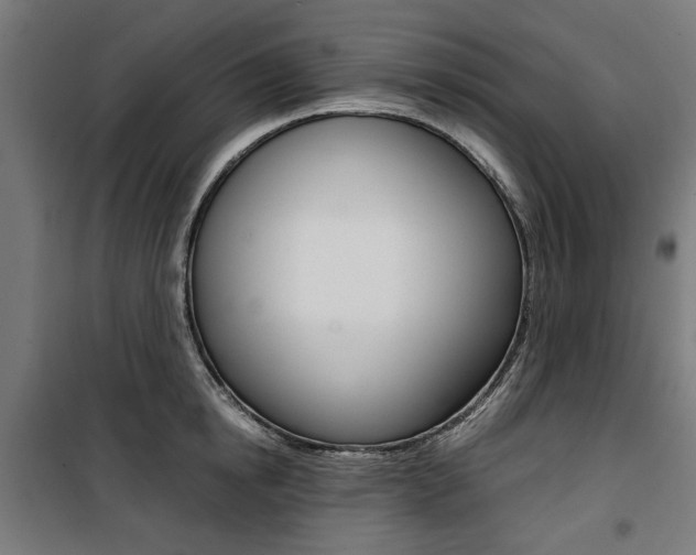 X0000100880854200806201145