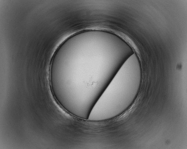 X0000100880855200806201145
