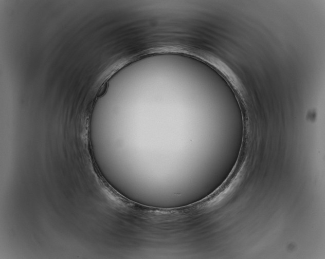 X0000100880857200806201145