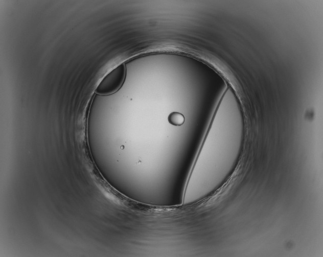 X0000100880858200806201145