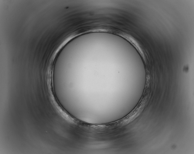 X0000100880859200806201145