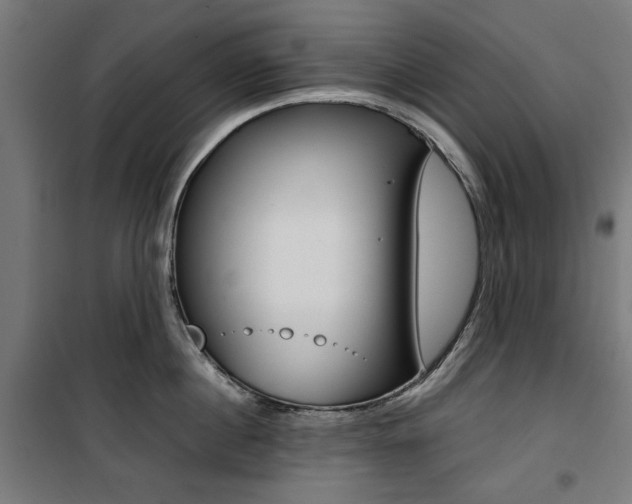 X0000100880860200806201145
