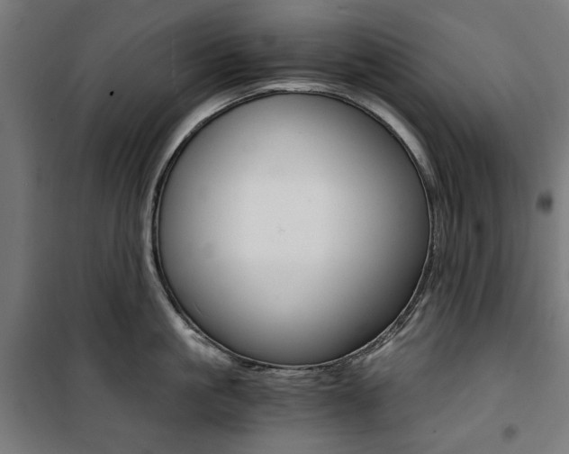 X0000100880861200806201145