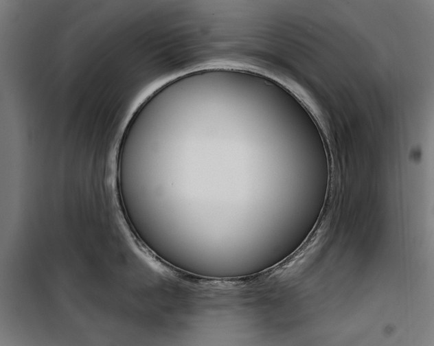 X0000100880862200806201145