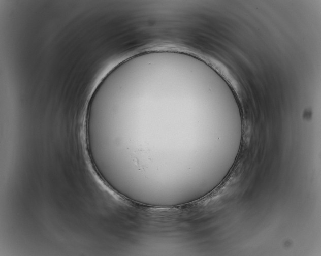 X0000100880863200806201145