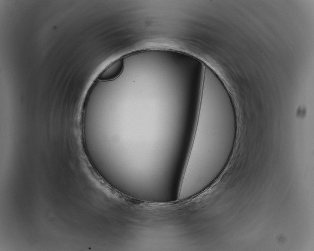 X0000100880864200806201145