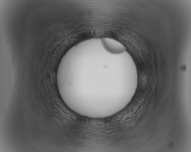 X0000100880865200806201144