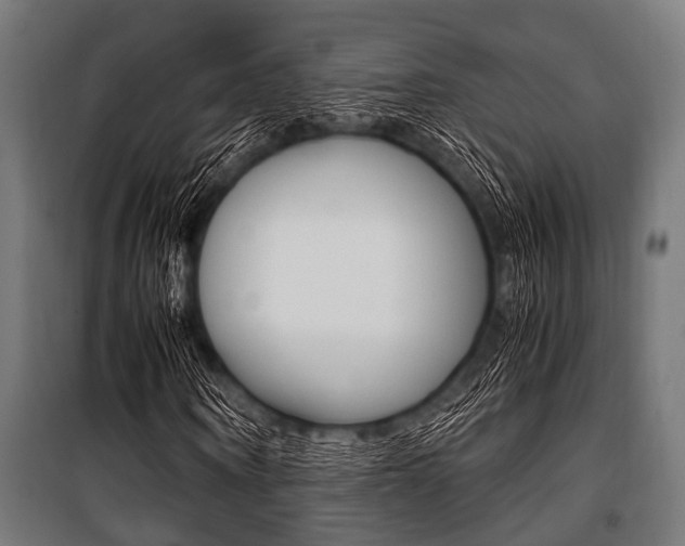 X0000100880866200806201144