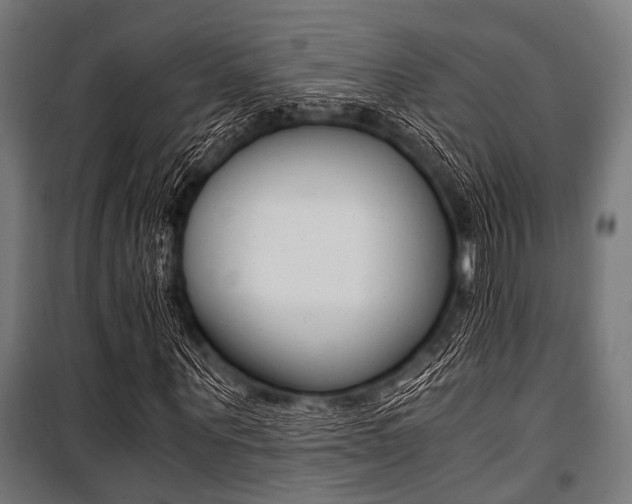 X0000100880867200806201144