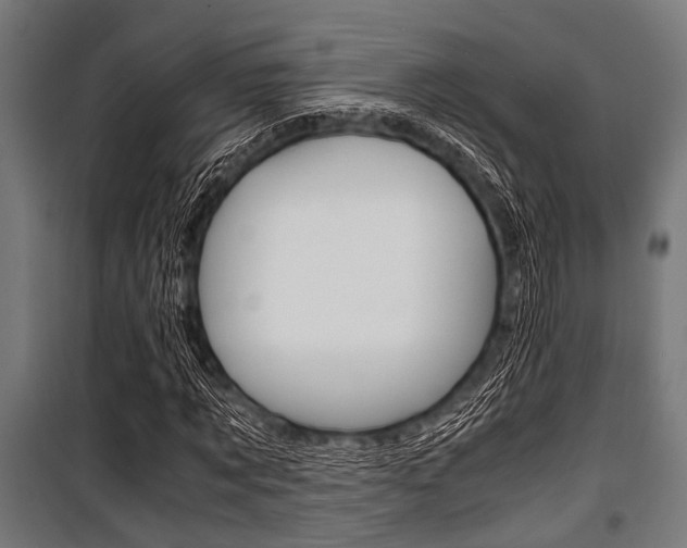 X0000100880869200806201144
