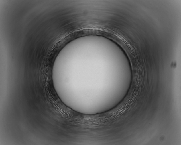 X0000100880870200806201144