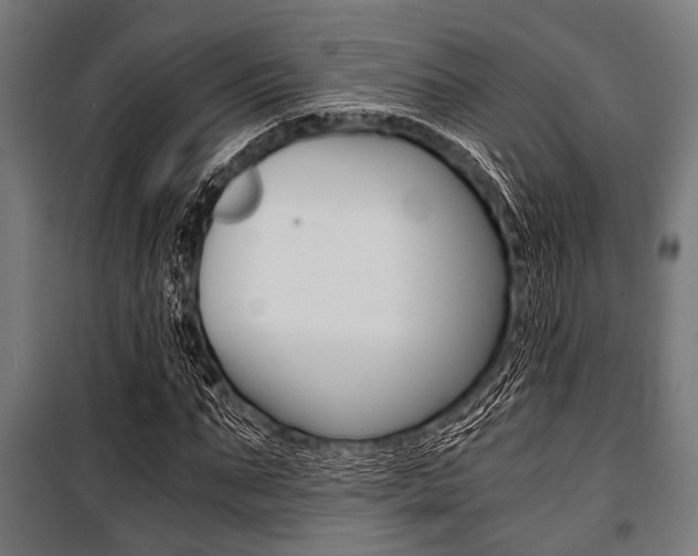 X0000100880871200806201144