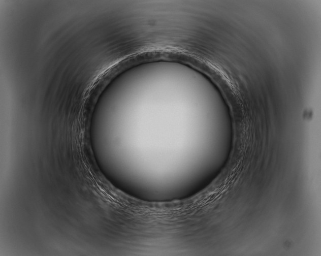 X0000100880872200806201144
