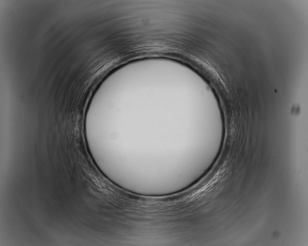 X0000100880873200806201144