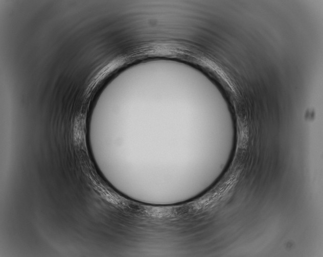 X0000100880874200806201144