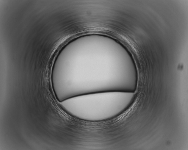 X0000100880875200806201144