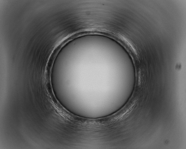 X0000100880876200806201144