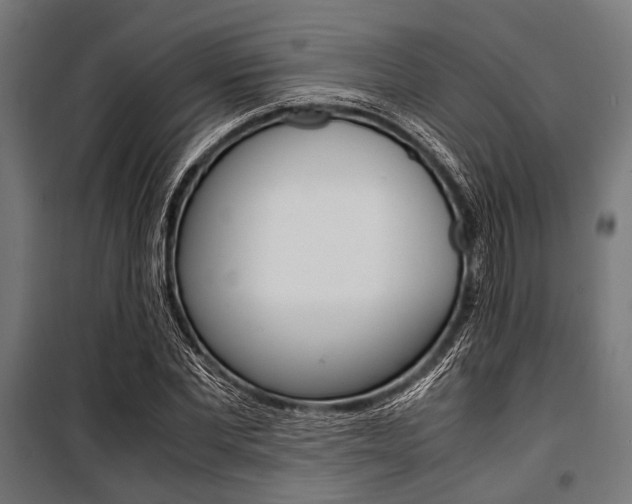X0000100880877200806201144
