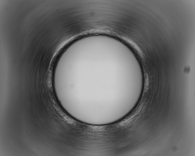 X0000100880878200806201144