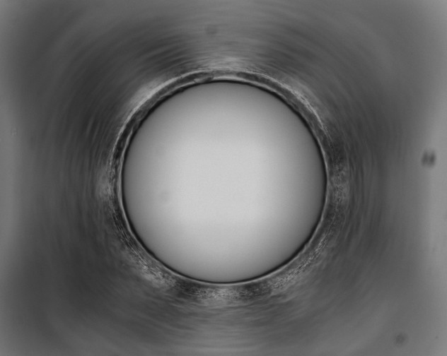 X0000100880879200806201144