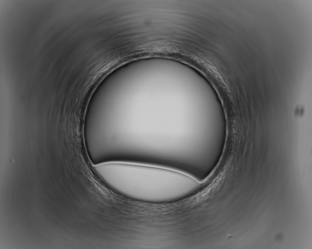 X0000100880881200806201144