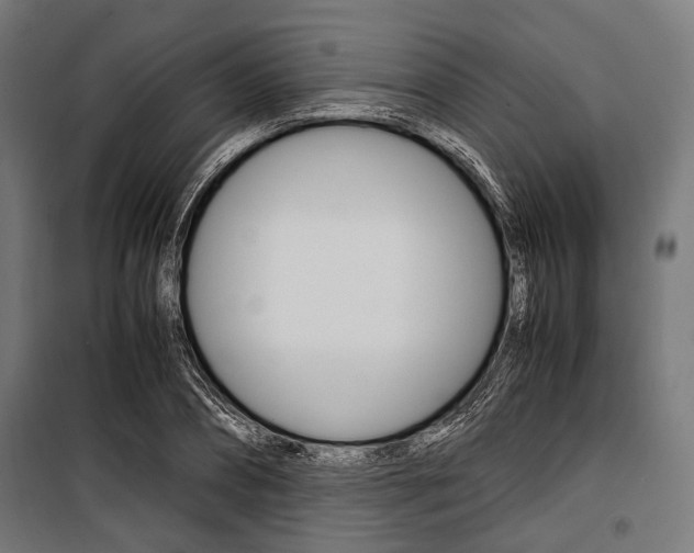X0000100880882200806201144