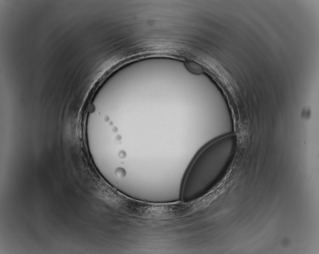 X0000100880883200806201144