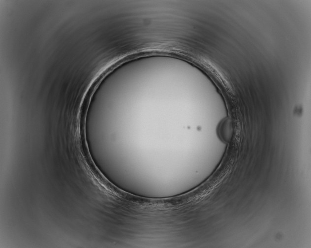 X0000100880884200806201144