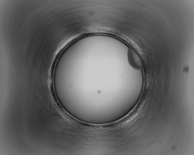 X0000100880885200806201144