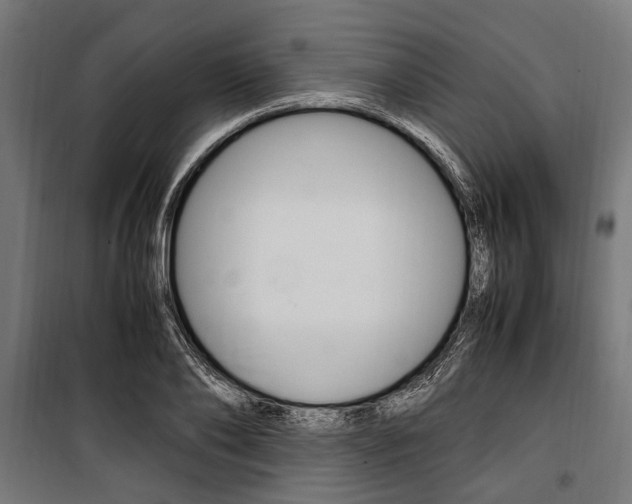 X0000100880886200806201144