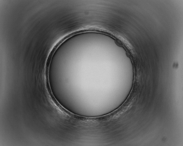 X0000100880888200806201144