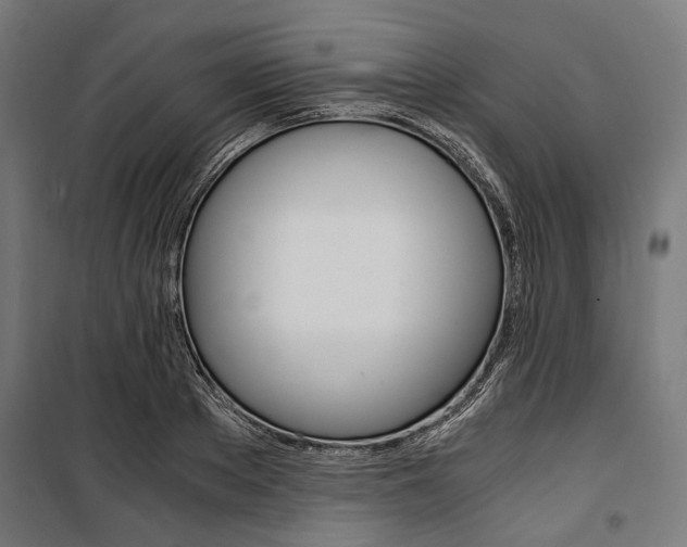 X0000100880889200806201144