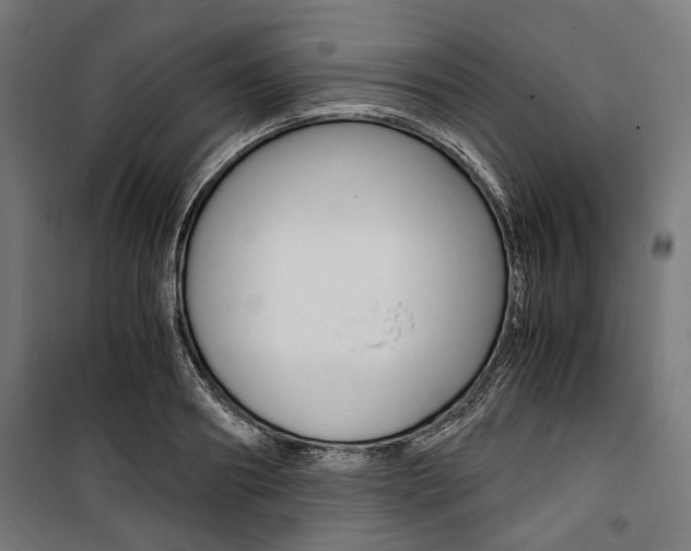 X0000100880890200806201144