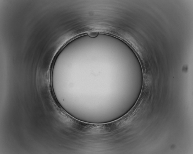 X0000100880891200806201144