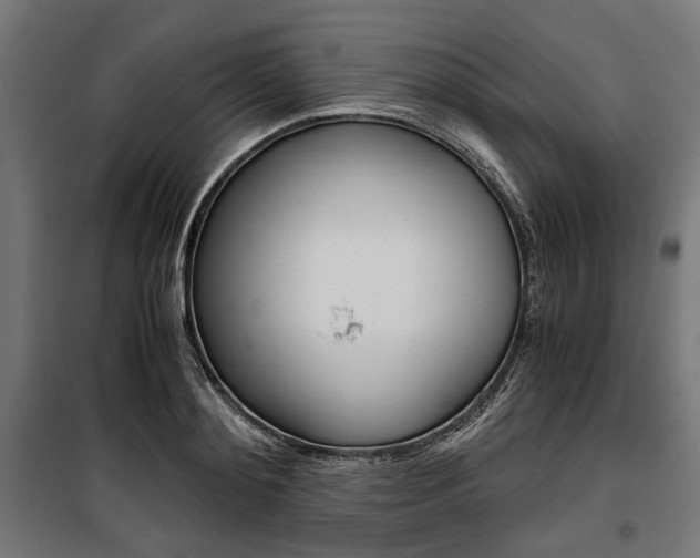 X0000100880892200806201144