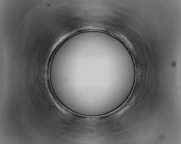 X0000100880893200806201144