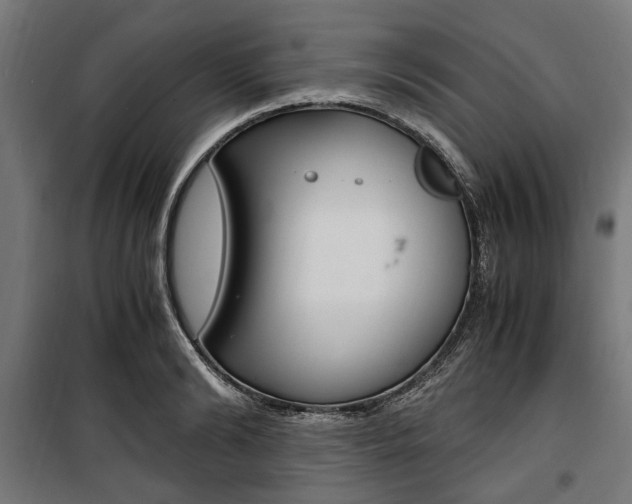 X0000100880894200806201144