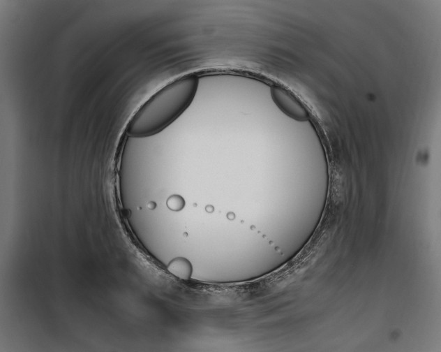 X0000100880895200806201144