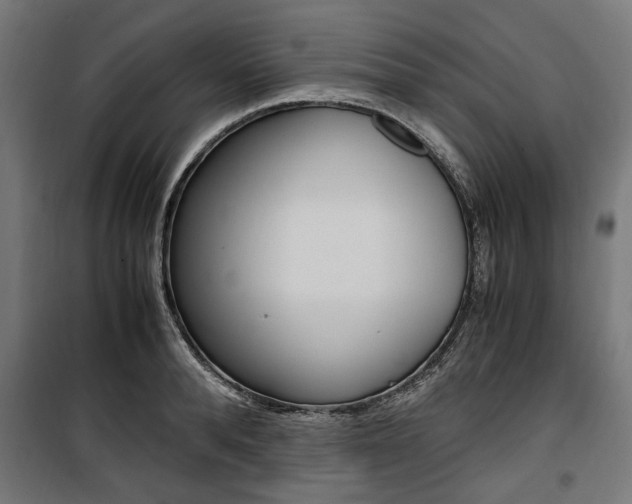 X0000100880896200806201144
