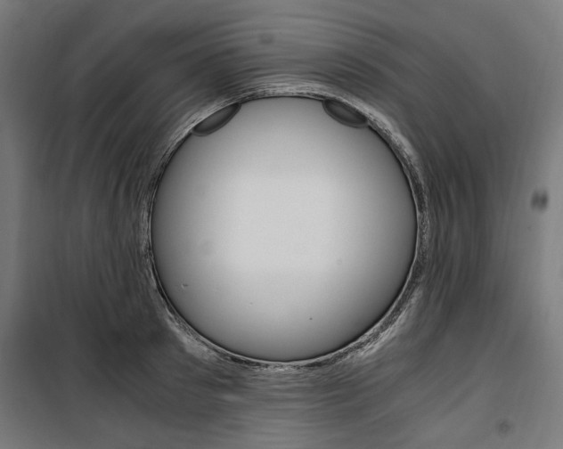 X0000100880897200806201144