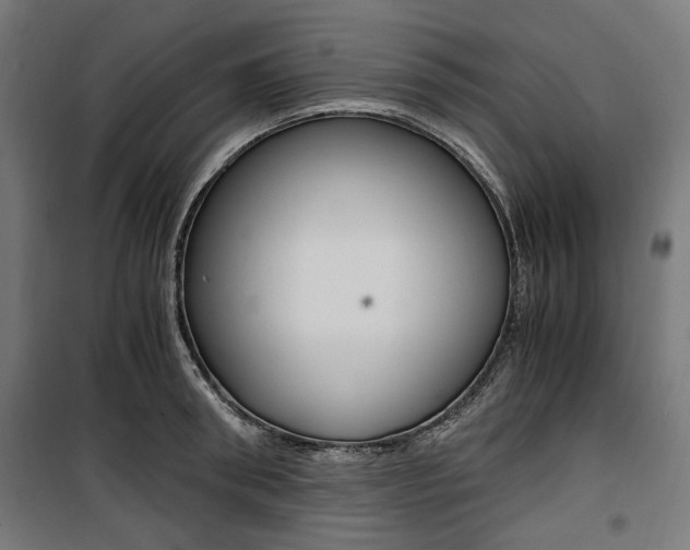 X0000100880898200806201144