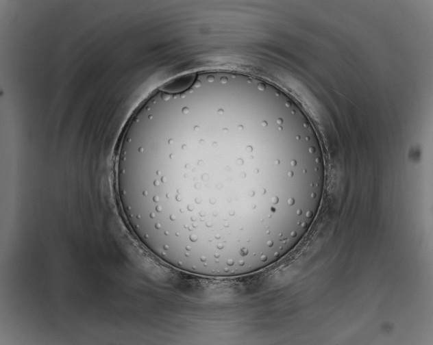X0000100880899200806201144