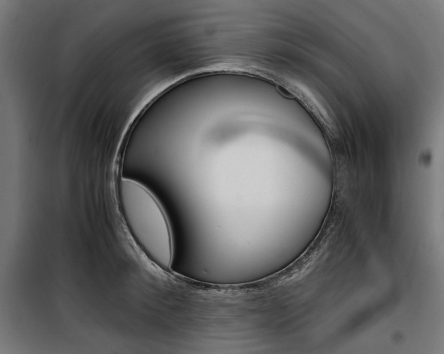 X0000100880900200806201144