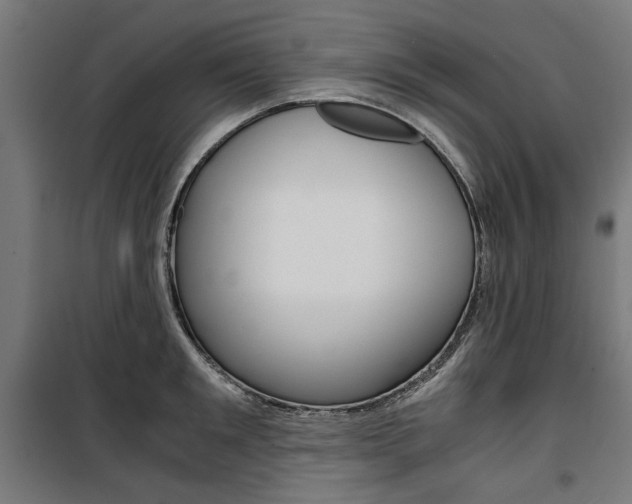 X0000100880901200806201144