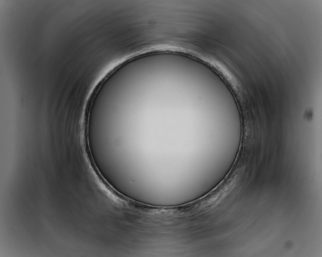 X0000100880902200806201144
