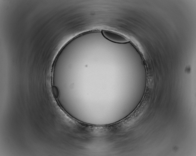 X0000100880903200806201144