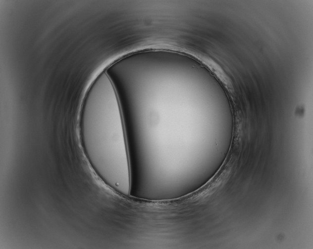 X0000100880904200806201144