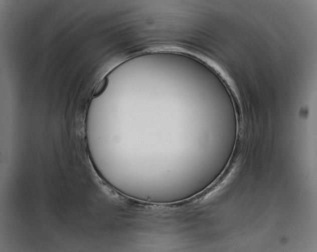 X0000100880905200806201144