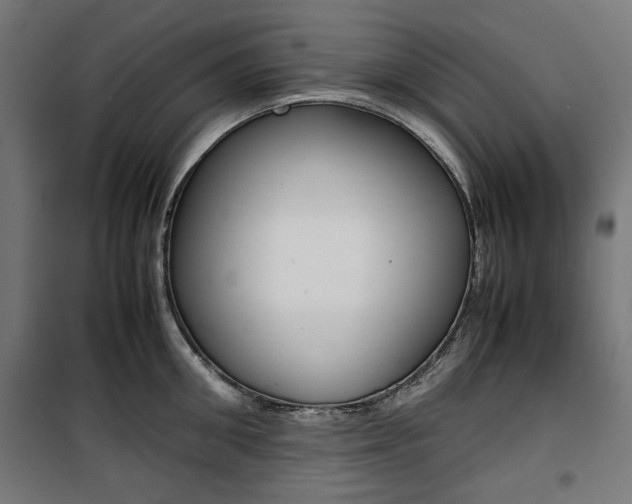 X0000100880906200806201144